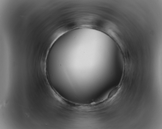 X0000088131194200705211109