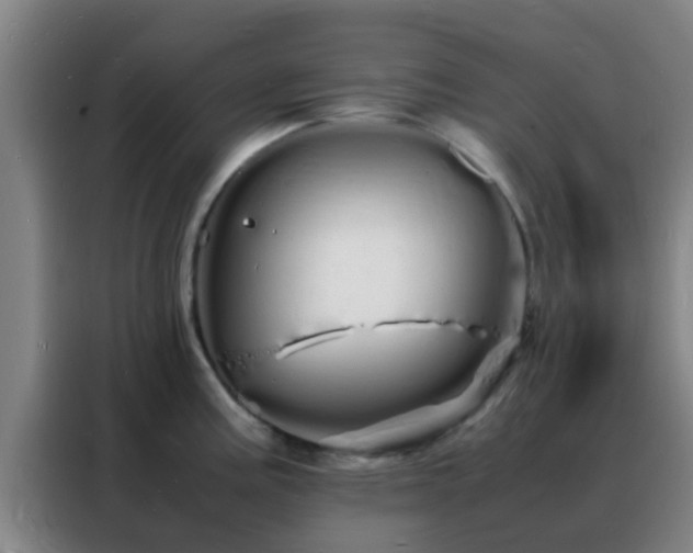 X0000088131195200705211109