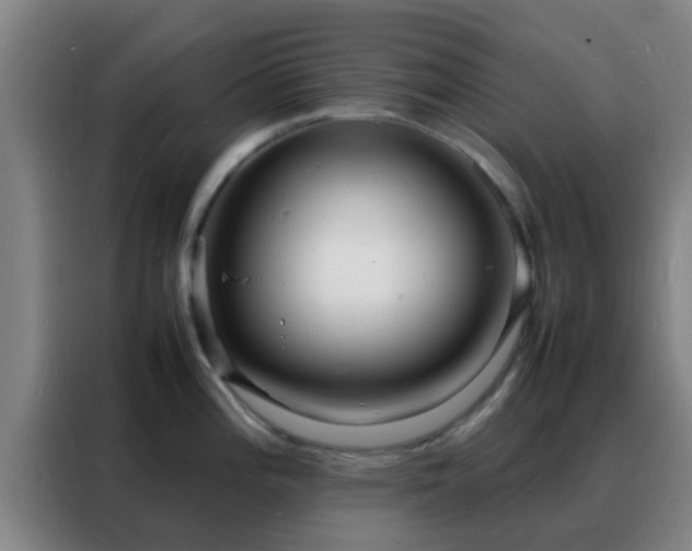 X0000088131196200705211109