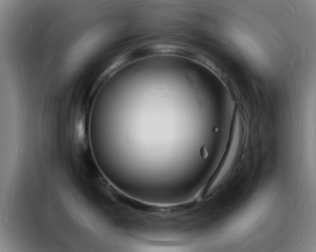 X0000088131198200705211109