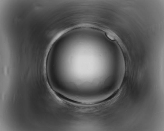 X0000088131199200705211109