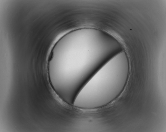 X0000088131200200705211109