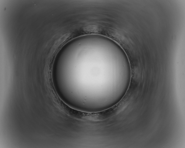 X0000088131201200705211109