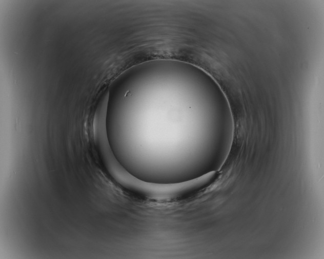 X0000088131202200705211109