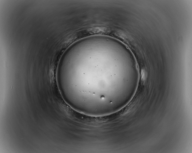 X0000088131203200705211109