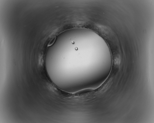 X0000088131204200705211109