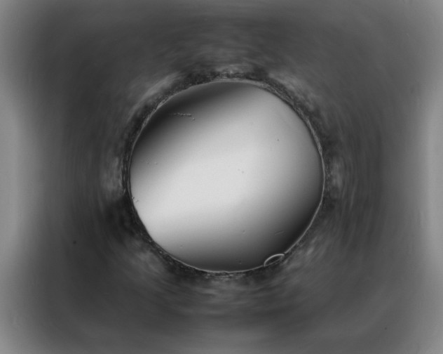 X0000088131205200705211109