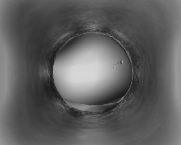 X0000088131206200705211109