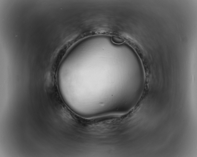 X0000088131207200705211109