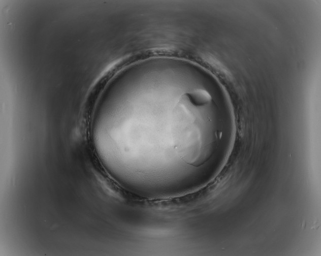 X0000088131208200705211109