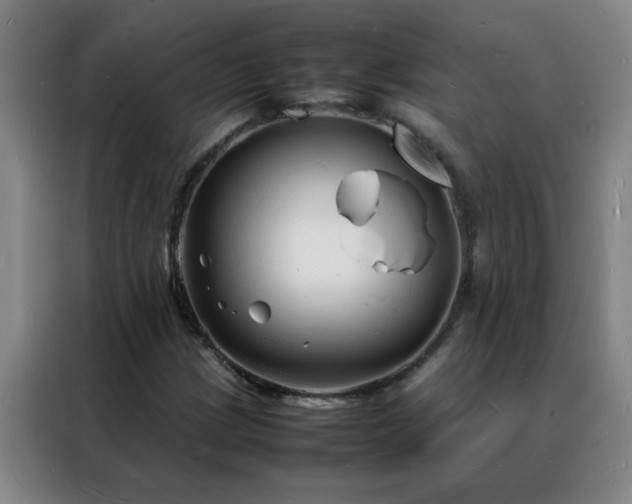 X0000088131209200705211109