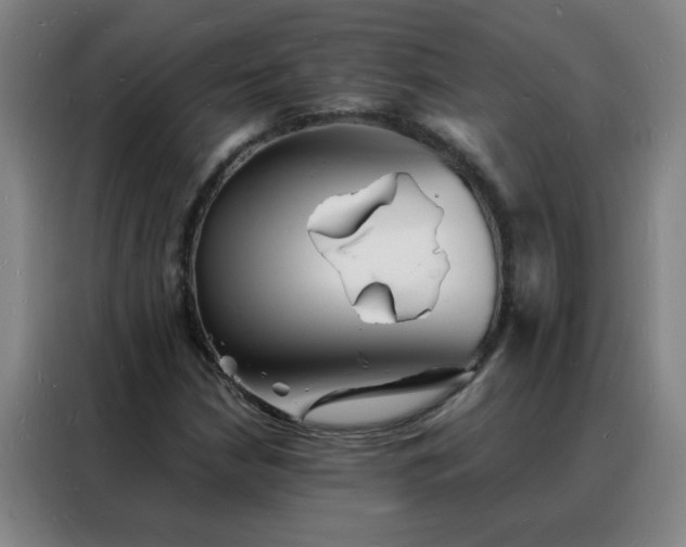 X0000088131210200705211109