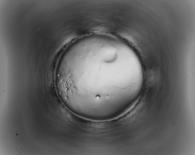 X0000088131211200705211109