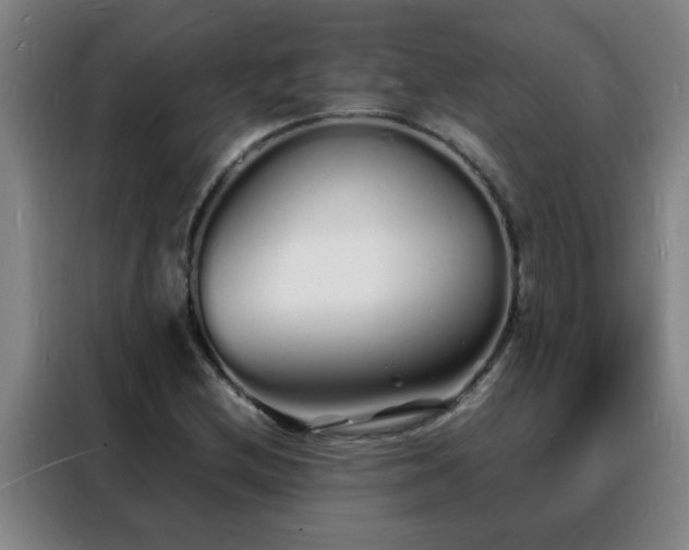 X0000088131212200705211109