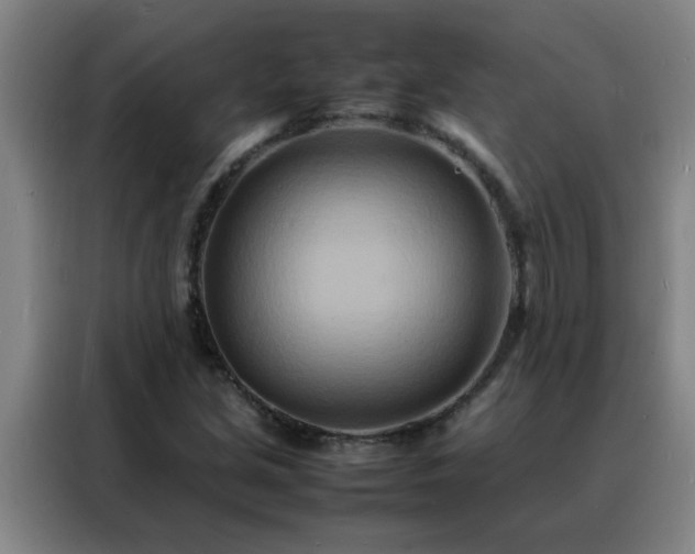 X0000088131213200705211109