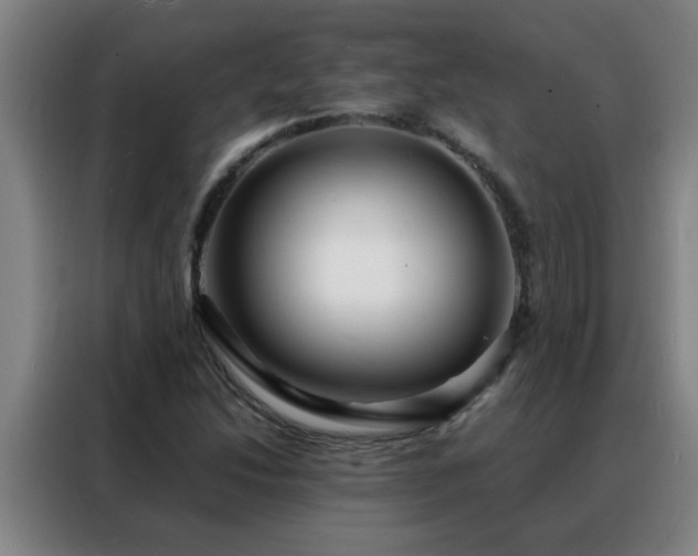 X0000088131214200705211109