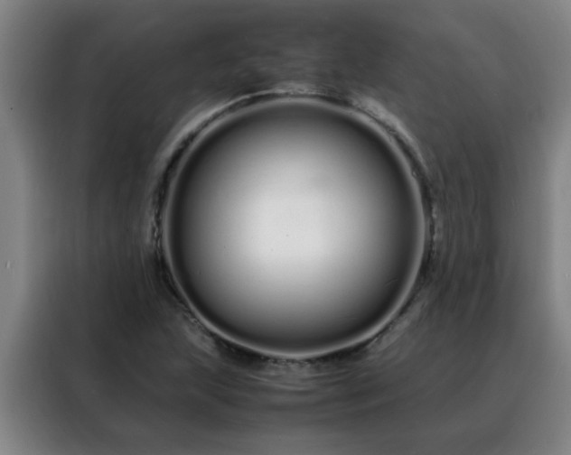 X0000088131215200705211109