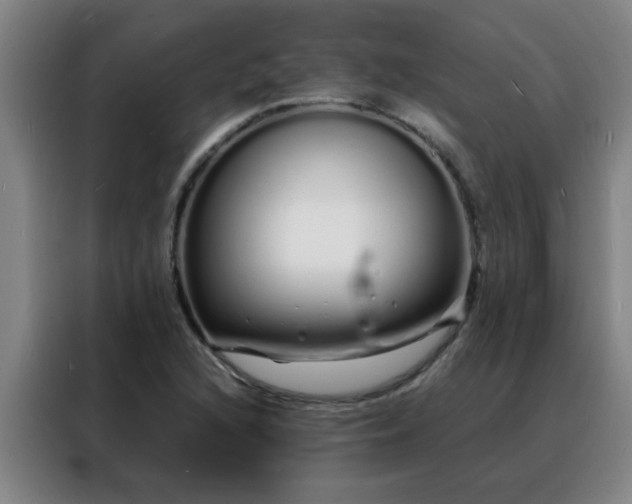 X0000088131216200705211109