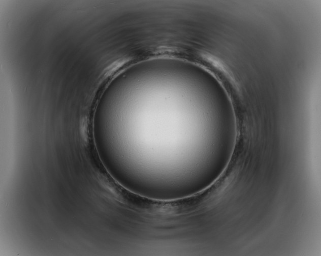 X0000088131217200705211109