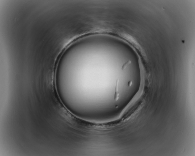 X0000088131220200705211109