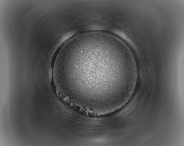 X0000088131221200705211109