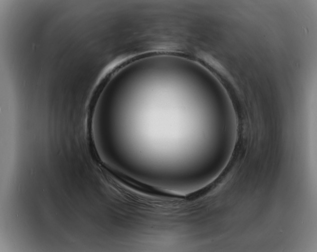 X0000088131222200705211109