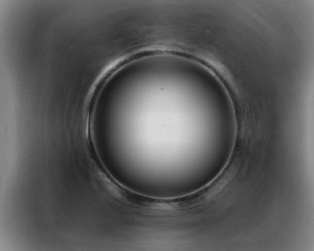 X0000088131224200705211109