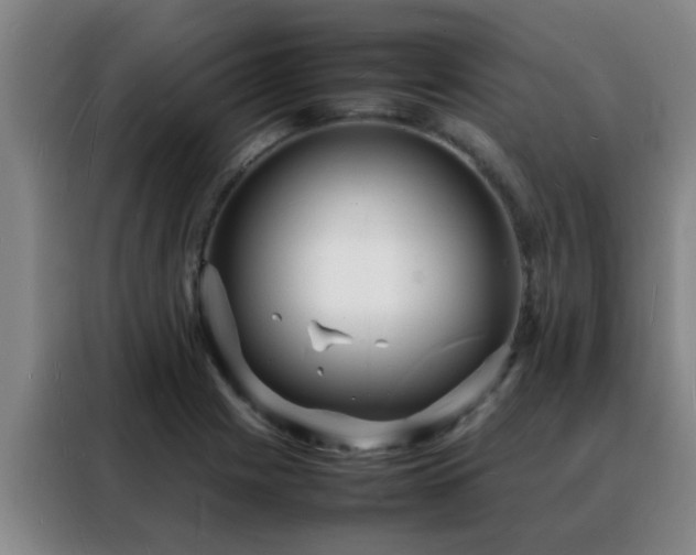 X0000088131225200705211109