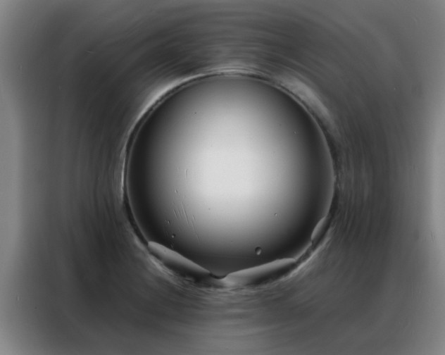 X0000088131228200705211109