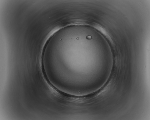 X0000088131229200705211109