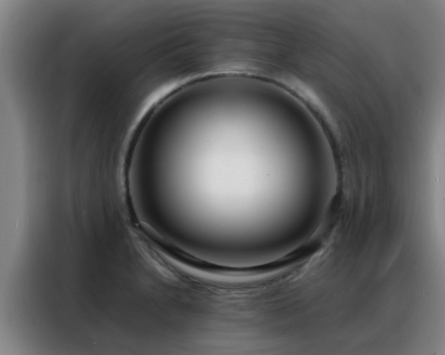 X0000088131230200705211109