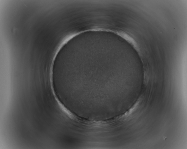 X0000088131231200705211109