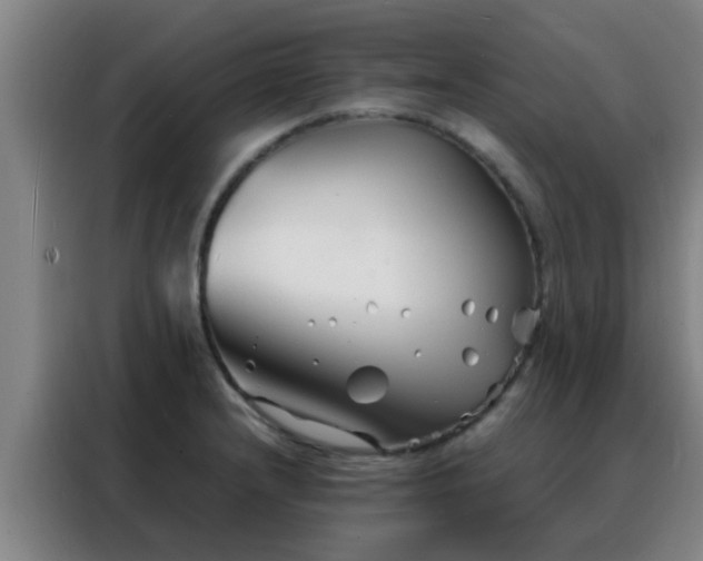 X0000088131232200705211109