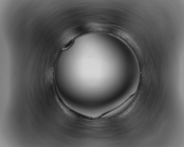 X0000088131233200705211109