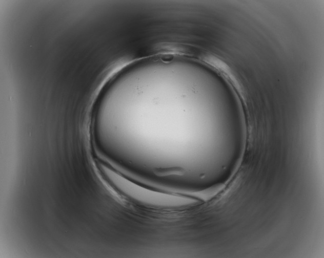 X0000088131235200705211109