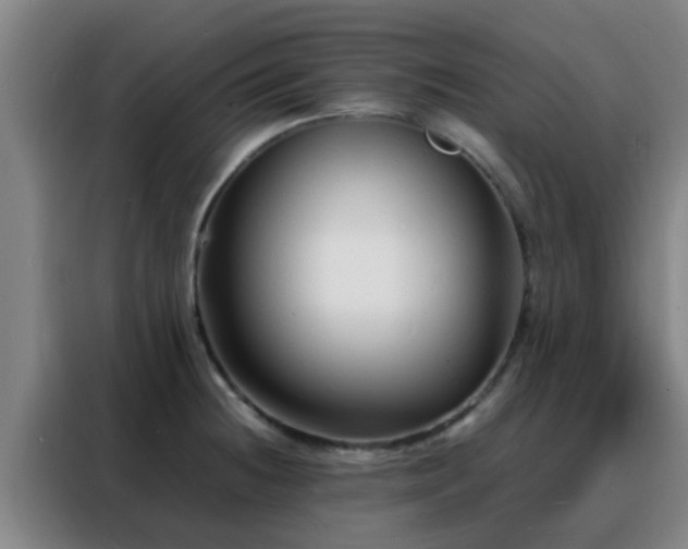 X0000088131236200705211109