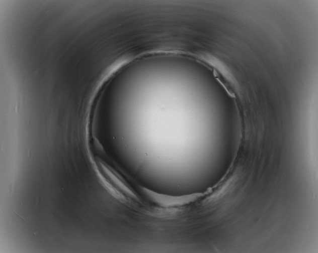 X0000088131237200705211109