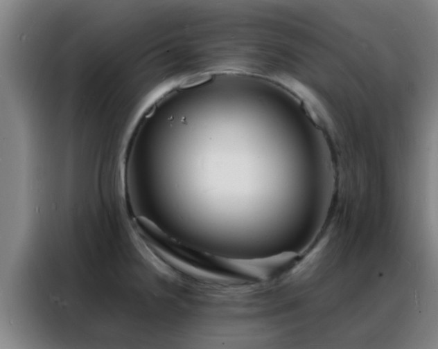 X0000088131238200705211109