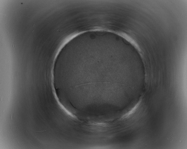 X0000088131239200705211109