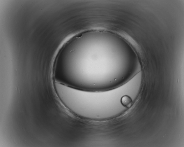 X0000088131240200705211109