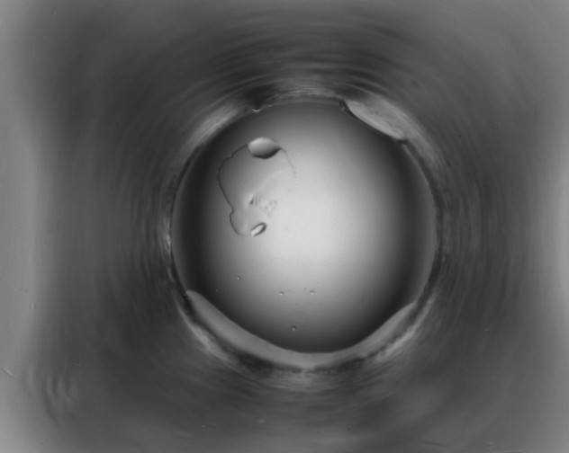 X0000088131241200705211109