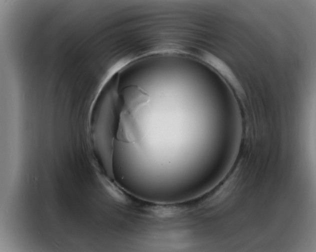 X0000088131242200705211109