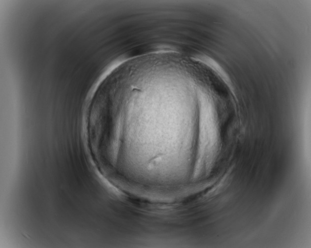 X0000088131243200705211109