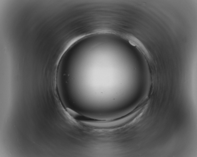 X0000088131244200705211109