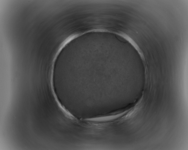 X0000088131245200705211109