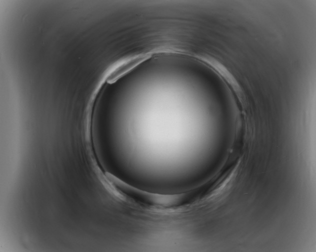 X0000088131246200705211109