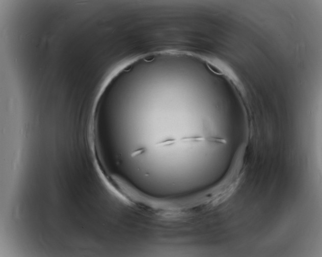 X0000088131247200705211109