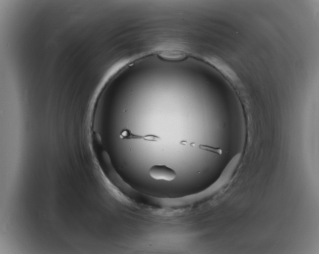 X0000088131248200705211109