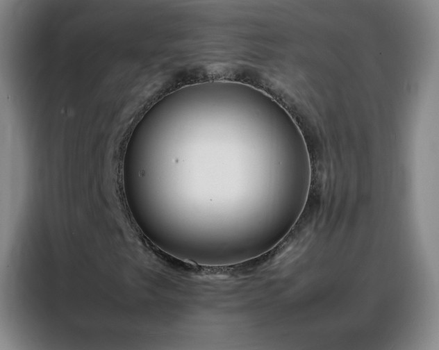 X0000088131249200705211109