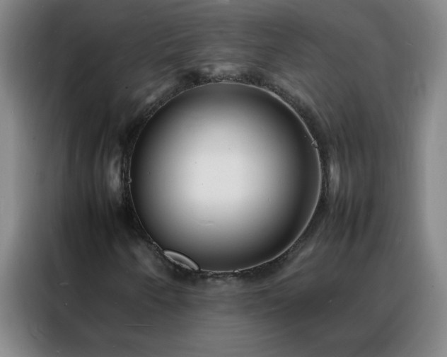 X0000088131250200705211109